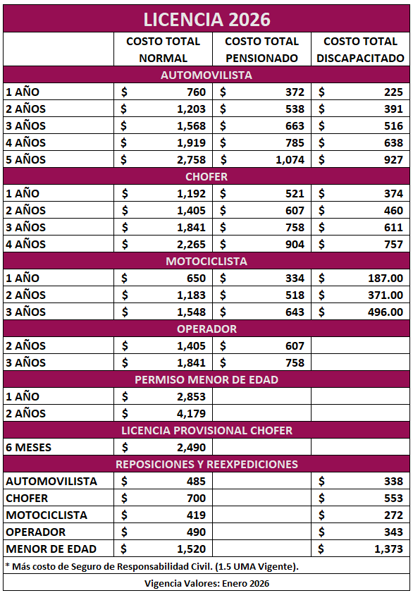 costos licencia 2025